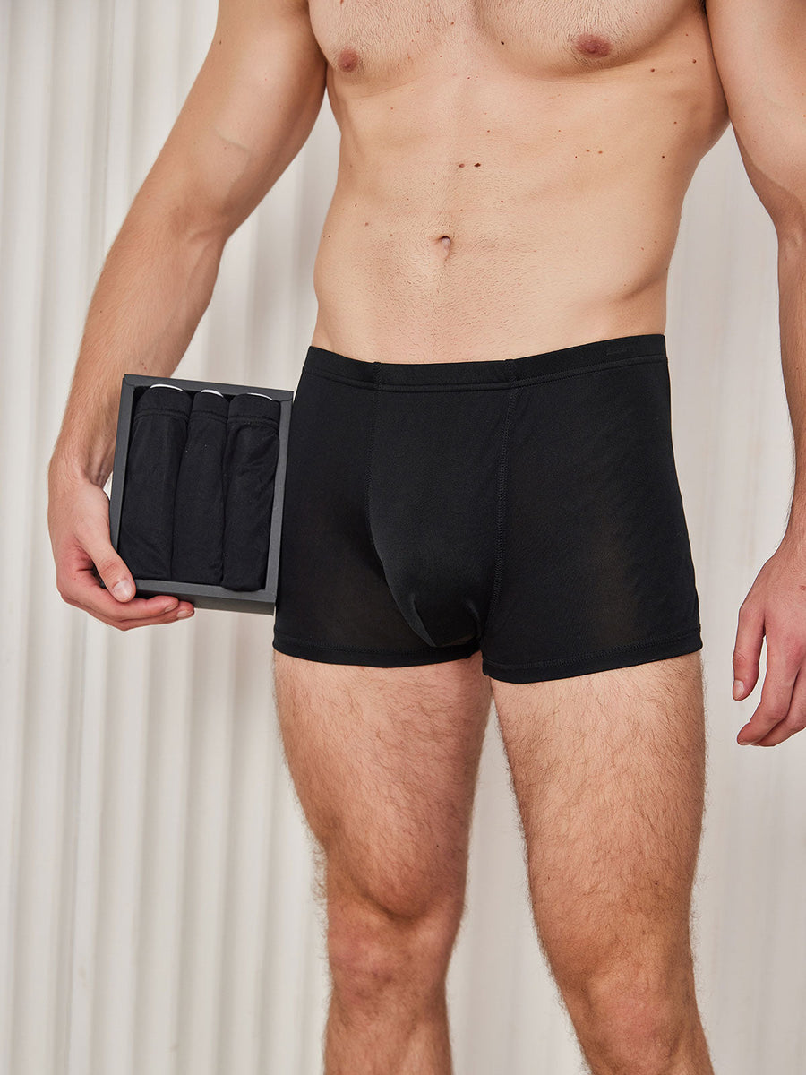 3Pcs Men‘s Pure Silk Boxer Briefs Underwear